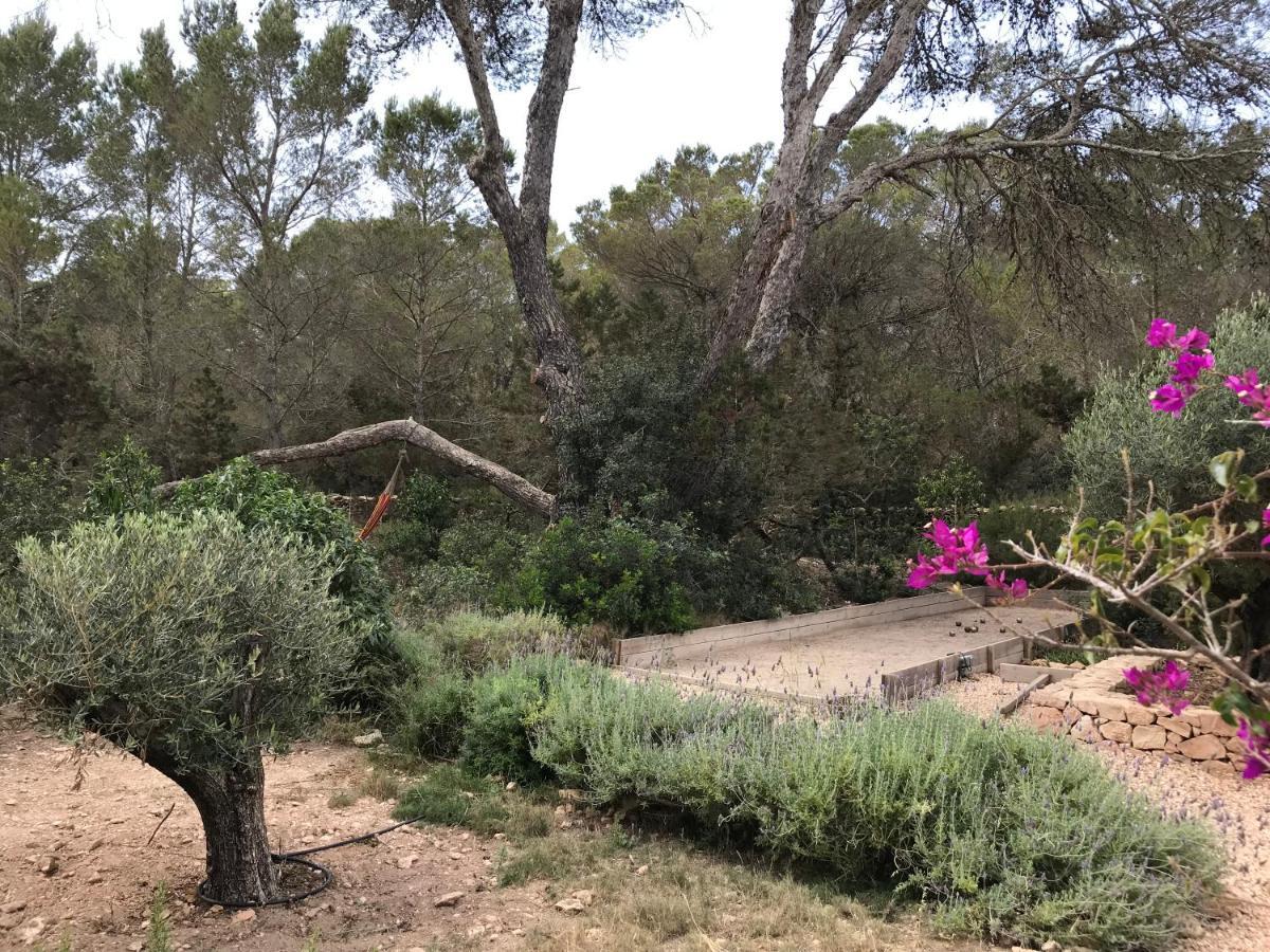 Feliz Lagartija Βίλα Cala Saona Εξωτερικό φωτογραφία